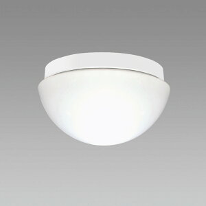 z^NX[SXM-LE261737N] LED^V[O hJEh`