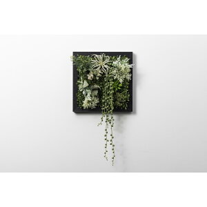 �A�����^�b�N�X[XGC001M7]SONOFlower Type A