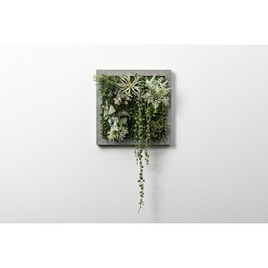 �A�����^�b�N�X[XGC001NP]SONOFlower Type A