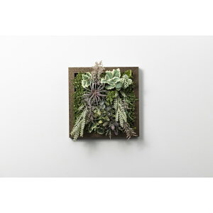 �A�����^�b�N�X[XGC002M8]SONOFlower Type B