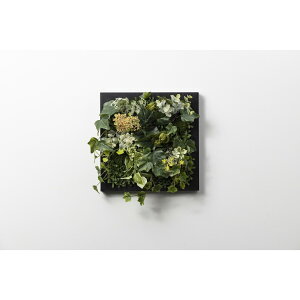 �A�����^�b�N�X[XGC003M7]SONOFlower Type C