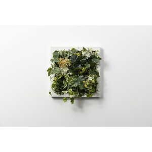 �A�����^�b�N�X[XGC003W4]SONOFlower Type C