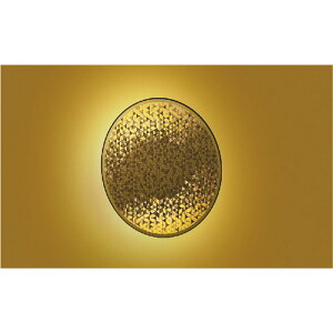 RCY~[AB51123]aƖAuPbg