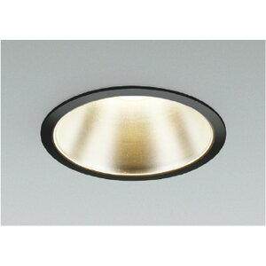 �R�C�Y�~[AD43391L]�_�E�����C�g