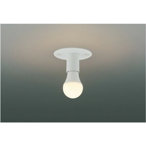 �R�C�Y�~[AH56008]���^�V�[�����O�A�u���P�b�g���C�g