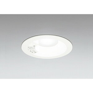 �I�[�f���b�N[OD261745R]�_�E�����C�g100W�N���X