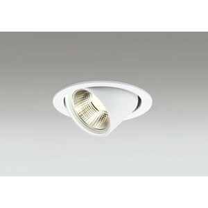 �I�[�f���b�N[OD261951R]�_�E�����C�g60W�N���X