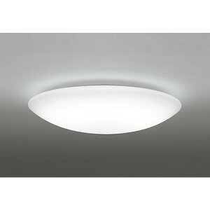 �I�[�f���b�N[OL251269R1]�V�[�����O���C�g