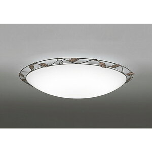 �I�[�f���b�N[OL251455R]�V�[�����O���C�g