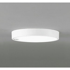 �I�[�f���b�N[OL251734R]�V�[�����O���C�g