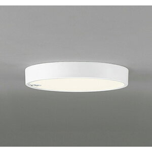 �I�[�f���b�N[OL251735R]�V�[�����O���C�g