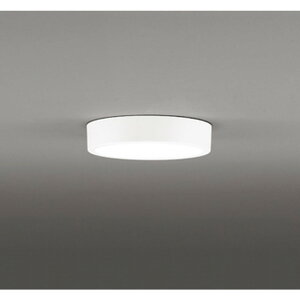 �I�[�f���b�N[OL251750R]�V�[�����O���C�g