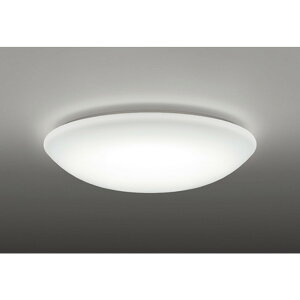 �I�[�f���b�N[OL251816NR]�V�[�����O���C�g