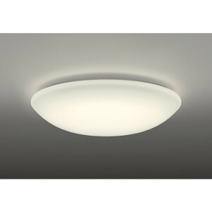 �I�[�f���b�N[OL251823LR]�V�[�����O���C�g