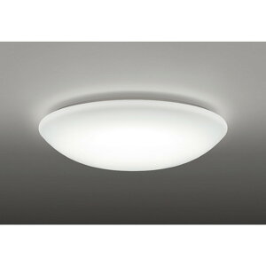 �I�[�f���b�N[OL251823NR]�V�[�����O���C�g