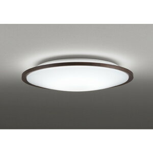 �I�[�f���b�N[OL291318R]�V�[�����O���C�g
