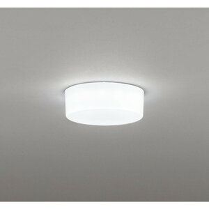 �I�[�f���b�N[OL291336R]�V�[�����O���C�g