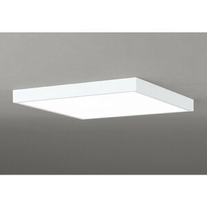 �I�[�f���b�N[OL291507BR]�V�[�����O���C�g