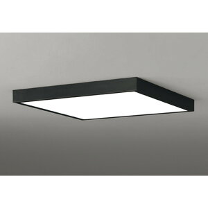 �I�[�f���b�N[OL291514BR]�V�[�����O���C�g