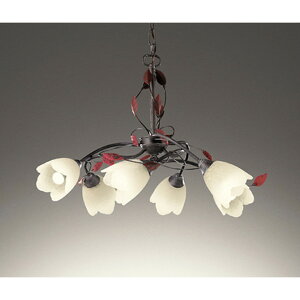 I[fbN[OC257028LR]VfA