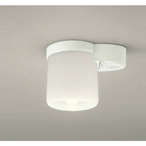 �I�[�f���b�N[OL013379LR]�V�[�����O���C�g