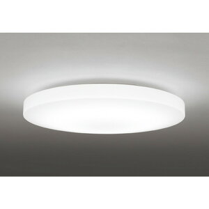 �I�[�f���b�N[OL251217R1]�V�[�����O���C�g