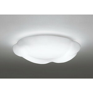 �I�[�f���b�N[OL251251R]�V�[�����O���C�g