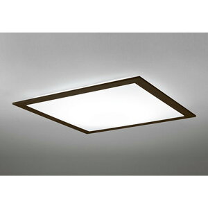 �I�[�f���b�N[OL251625R]�V�[�����O���C�g
