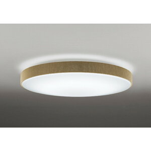 �I�[�f���b�N[OL251674R]�V�[�����O���C�g