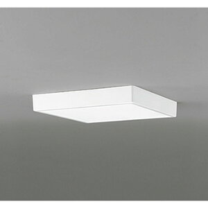 �I�[�f���b�N[OL251738R]�V�[�����O���C�g