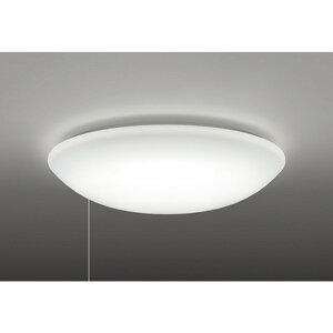 �I�[�f���b�N[OL251899NR]�V�[�����O���C�g