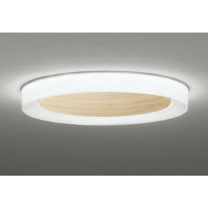 �I�[�f���b�N[OL291664BR]�V�[�����O���C�g