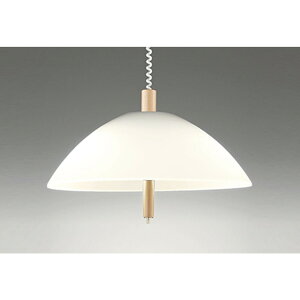 �I�[�f���b�N[OP087150LR]�y���_���g���C�g