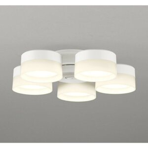 �I�[�f���b�N[WF258PR]�V�[�����O�t�@��