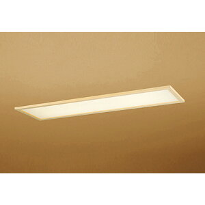 �I�[�f���b�N[OD266030R2E]�a���Ɩ�