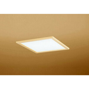 �I�[�f���b�N[OD301208P2B]�a���Ɩ�