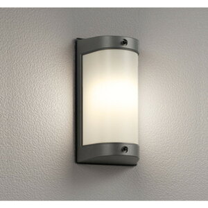 �I�[�f���b�N[OG254695LR]�G�N�X�e���A