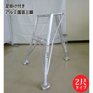 VZC[SIN-02]A~|Ori|tj