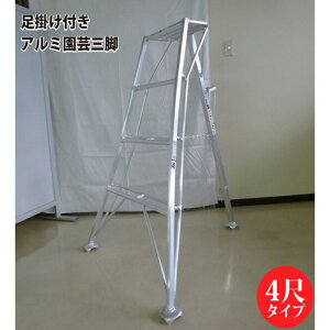 VZC[SIN-04]A~|Ori|tj