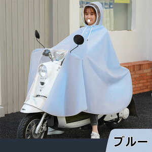 yVׁ360xtFCXJo[z CR[g ] bN C|` fB[X ʋ ʊw Y |`  oCN tFX Lv g 傫TCY CEFA