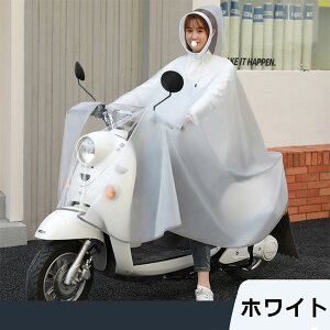 yVׁ360xtFCXJo[z CR[g ] bN C|` fB[X ʋ ʊw Y |`  oCN tFX Lv g 傫TCY CEFA