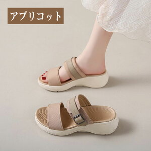 T_ X|[cT_ fB[X T_ bV y ʋC r EH[LOV[Y r r Vv JWA r[`T_  Lk ؍ JWA 