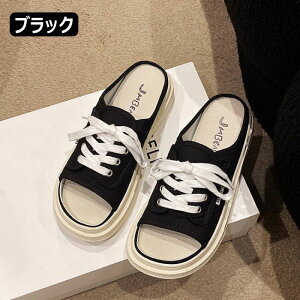 ƂȂ Xj[J[ fB[X T_ C Xb|  Xj[J[ Ȃ 4F ɂȂ V[Y y ₷ ₷ y ^C 킢 t JWAV[Y O