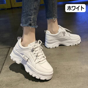 Xj[J[ fB[X  Xj[J[ Sn y ~ h r r  ʋC ϋv ؍ V[Y ɂȂ ʋC Vv ؍ gAbv lC fB[X