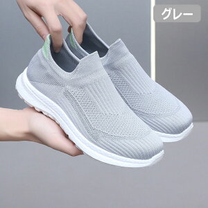 Xj[J[ Y fB[X jOV[Y ʋC y  X|[cV[Y Xb| EH[LO ^C ɂ  s ʊw ʋ g[jOV[Y 풅p 