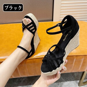  T_ 10cm fB[X EFbW\[ r y nCq[ ₷  ʋC 5cm fB[X 傫TCY K ɂ C s rC  V[Y X[sOq[