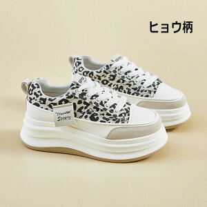  Xj[J[ fB[X 5cm Ȃ Sn y ʋC ϋv ~ fB[XV[Y V[Y y EH[LOV[Y ؍ gAbv  r ₷ 