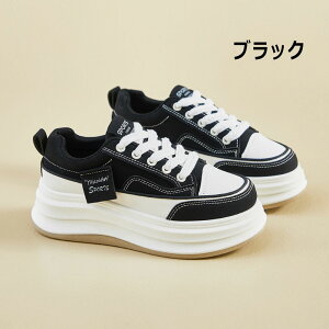  Xj[J[ fB[X 5cm Ȃ Sn y ʋC ϋv ~ fB[XV[Y V[Y y EH[LOV[Y ؍ gAbv  r ₷ 