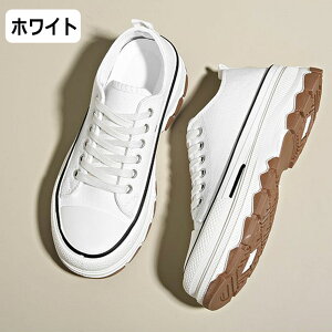  Xj[J[  y ʋC ϋv Xj[J[ ~ fB[XV[Y 4cm Ȃ Sn gAbv  V[Y y EH[LOV[Y ؍ r 