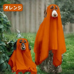 nEB RXv  ybg H RX`[ ߑ  ybgp RXv  ϑ  L ybgEFA fr Cxg 킢 4F L  RXvߑ ybg nEB